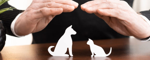 Assurance animaux